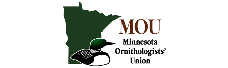 The Minnesota Ornithologists' Union