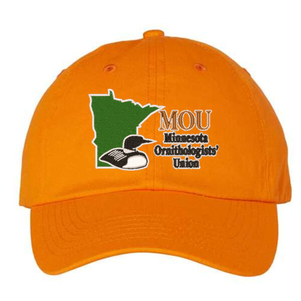 Valucap - Adult Bio-Washed Classic Cap - Embroidered Logo Thumbnail